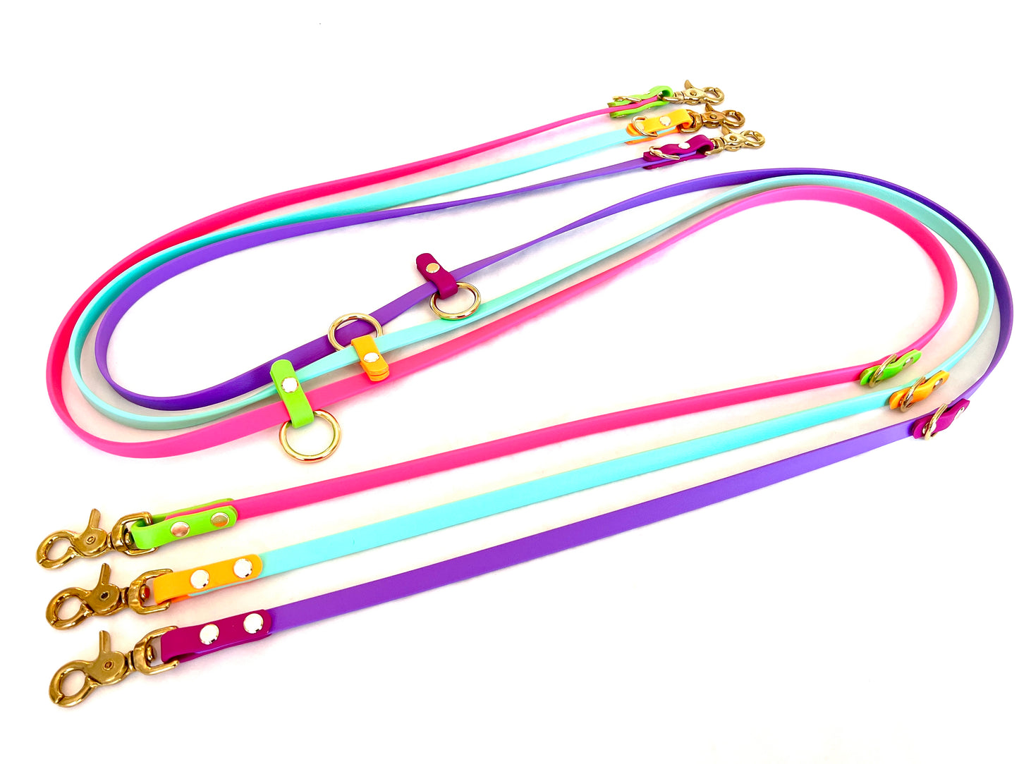Multifunctional Leash
