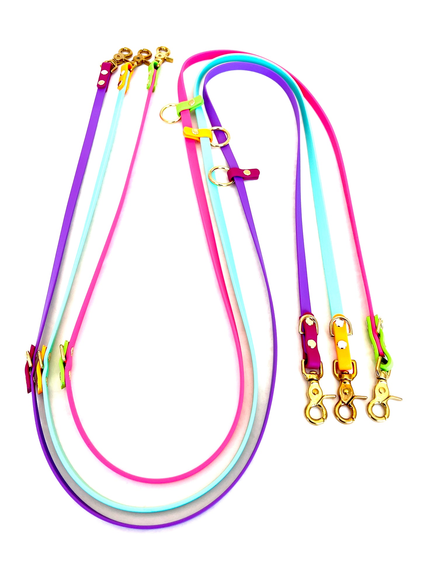 Multifunctional Leash