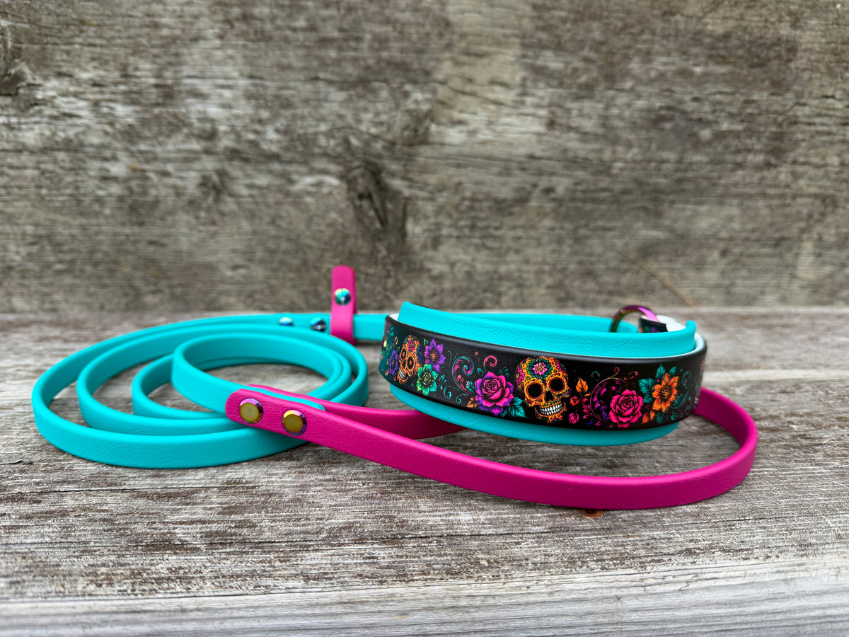 Halloween Martingale Leashes