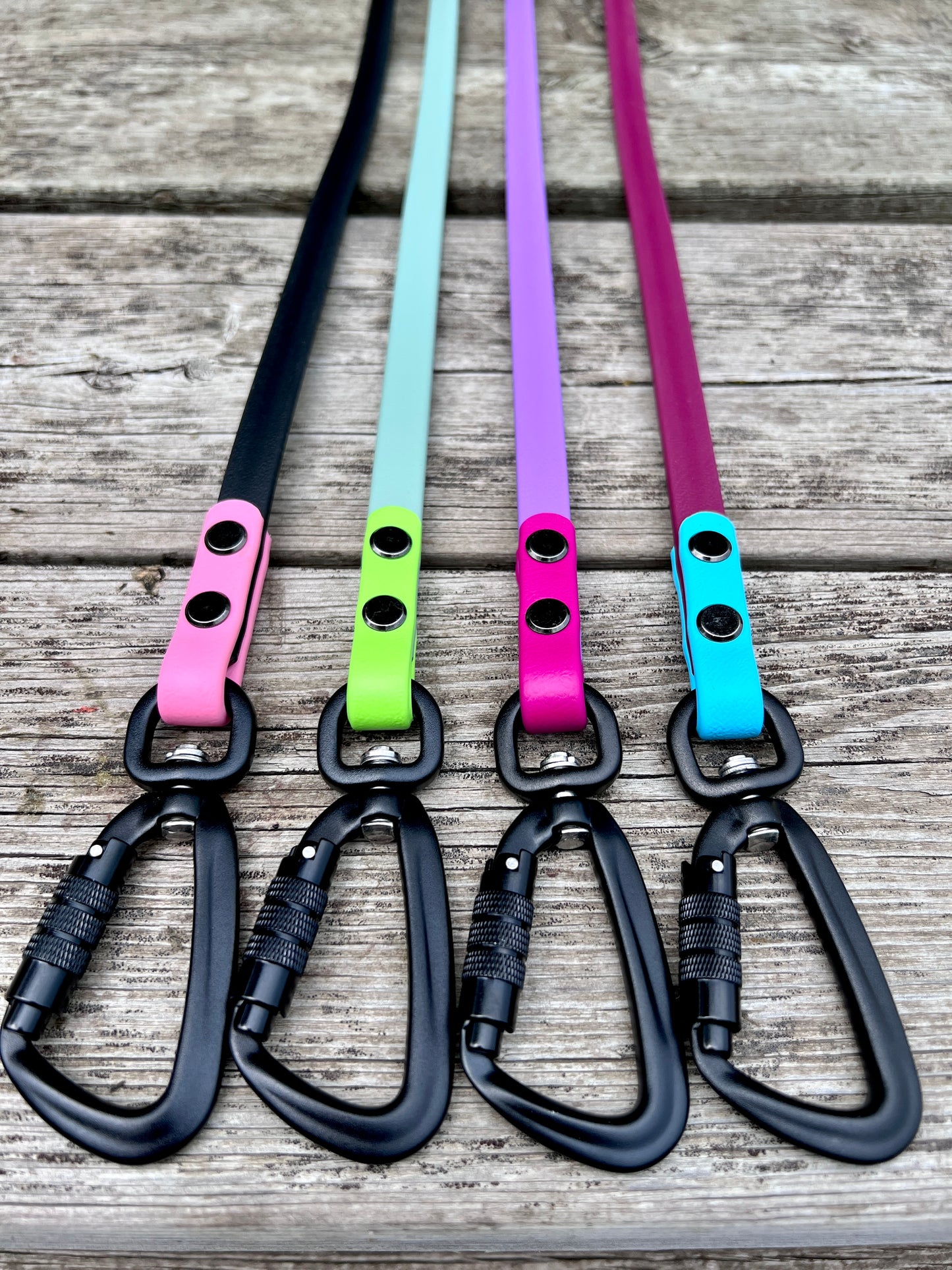 Hands Free Leash