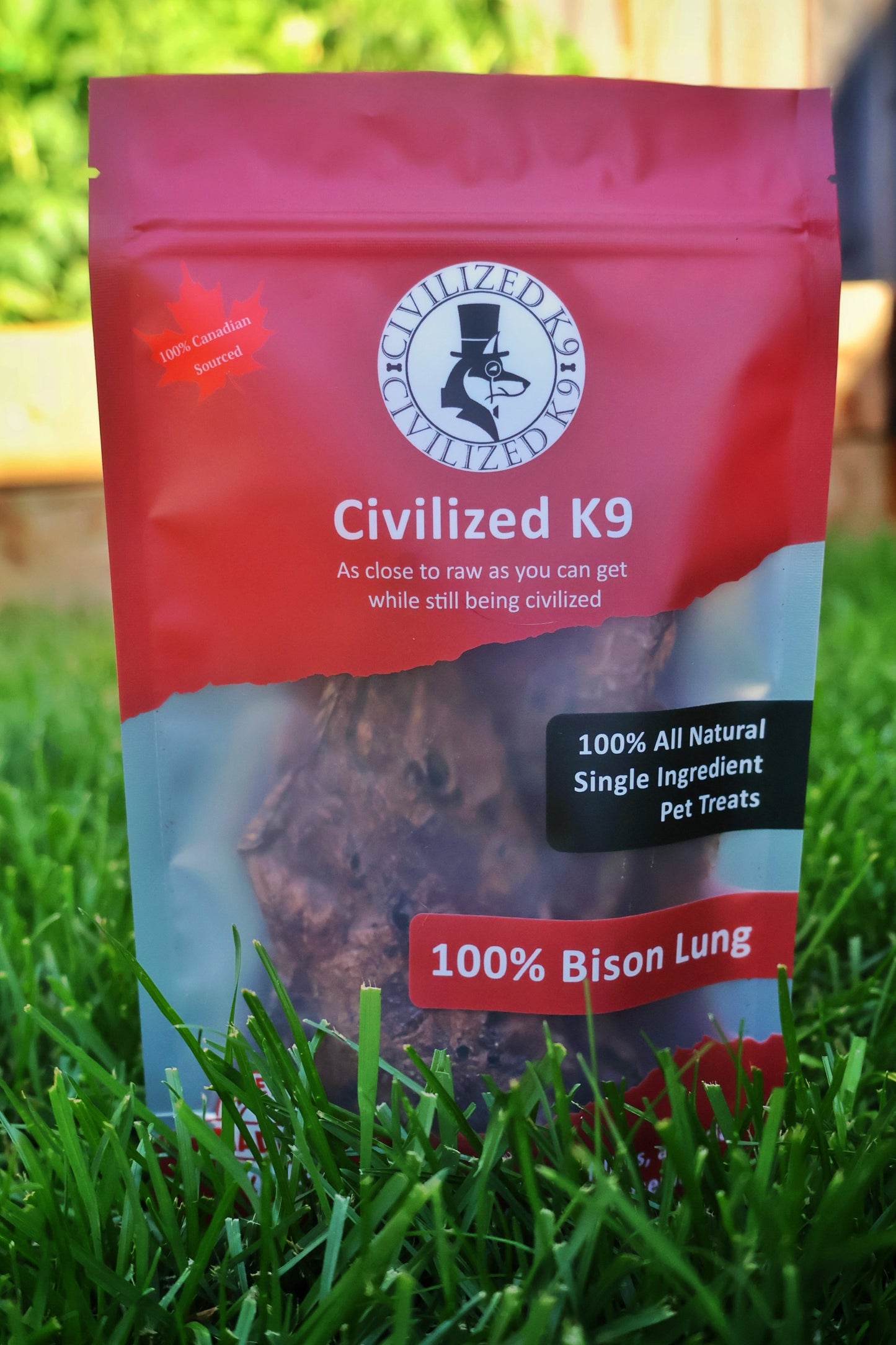 Bison Lung