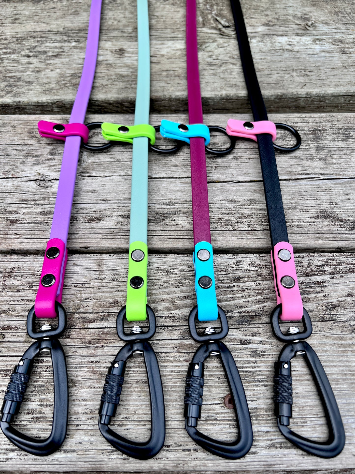Hands Free Leash