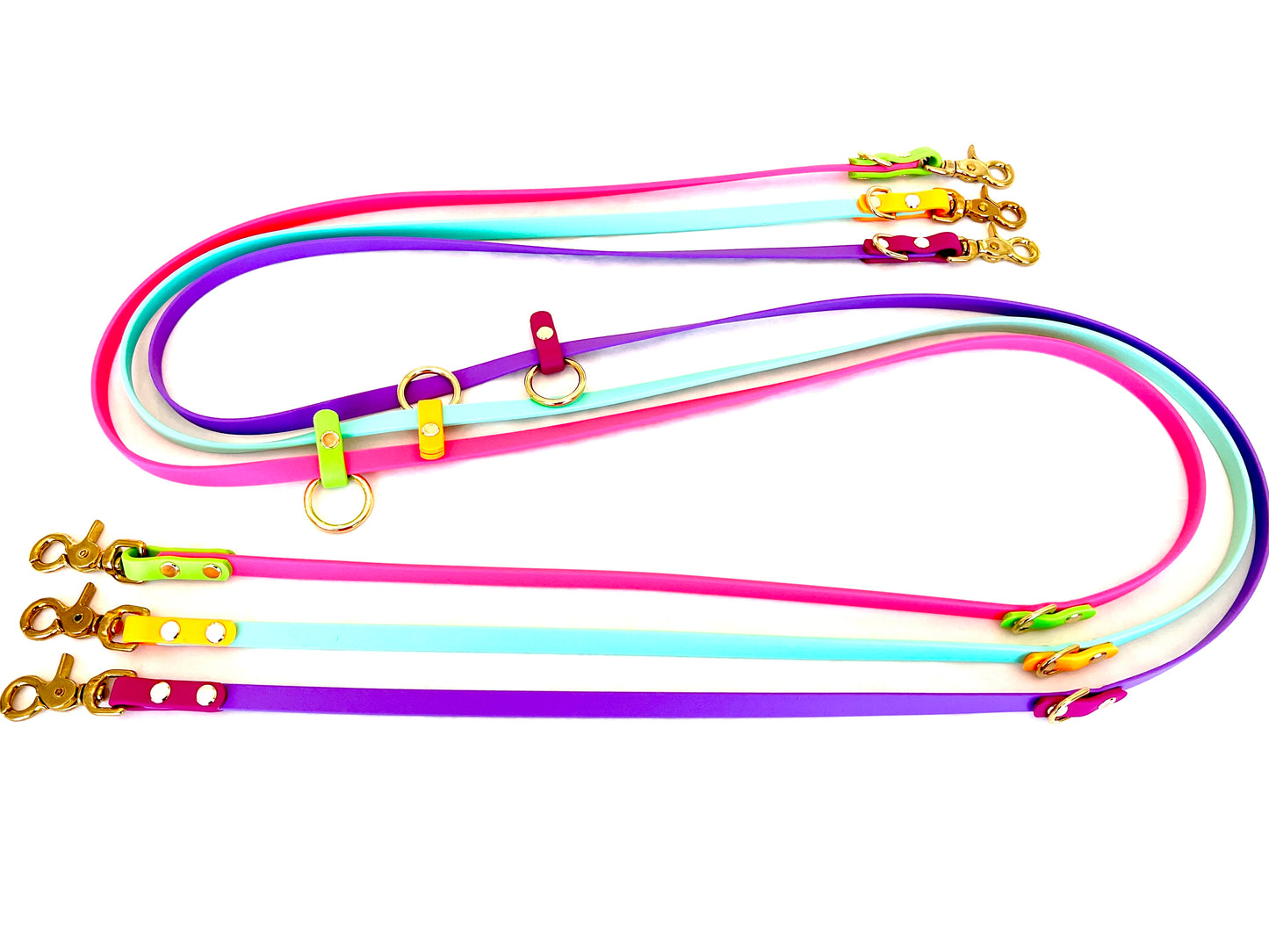Multifunctional Leash