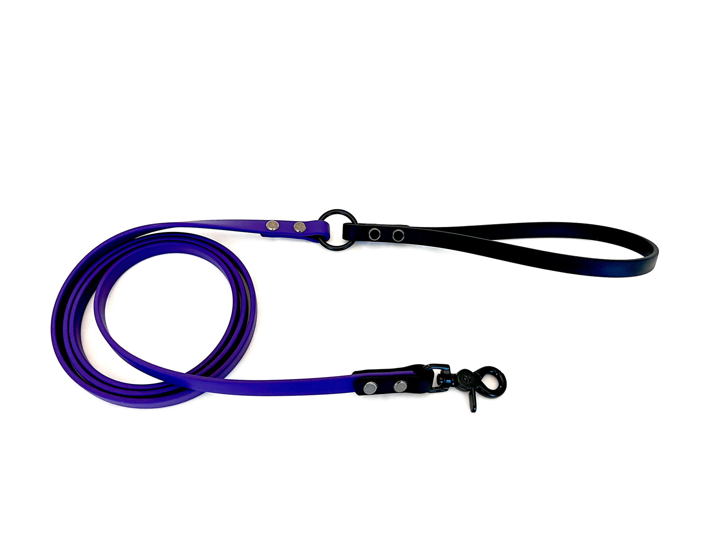 Dual Colour Leash with O-Ring