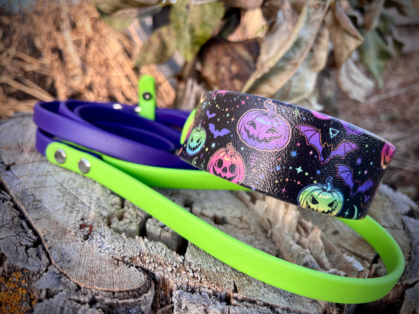 🎃Halloween Collars/Leashes🎃