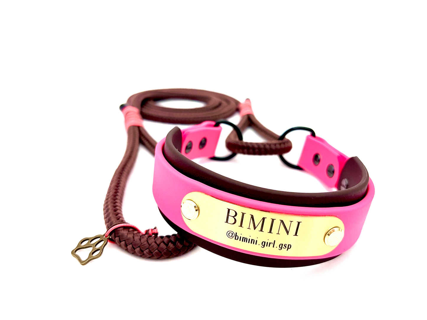 Biothane-Rope Martingale Leash