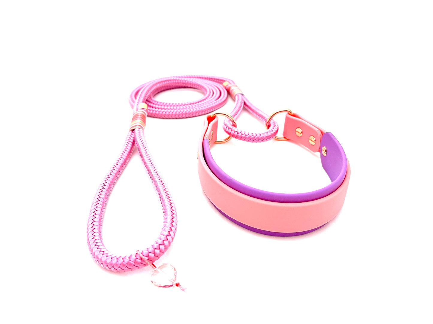 Biothane-Rope Martingale Leash