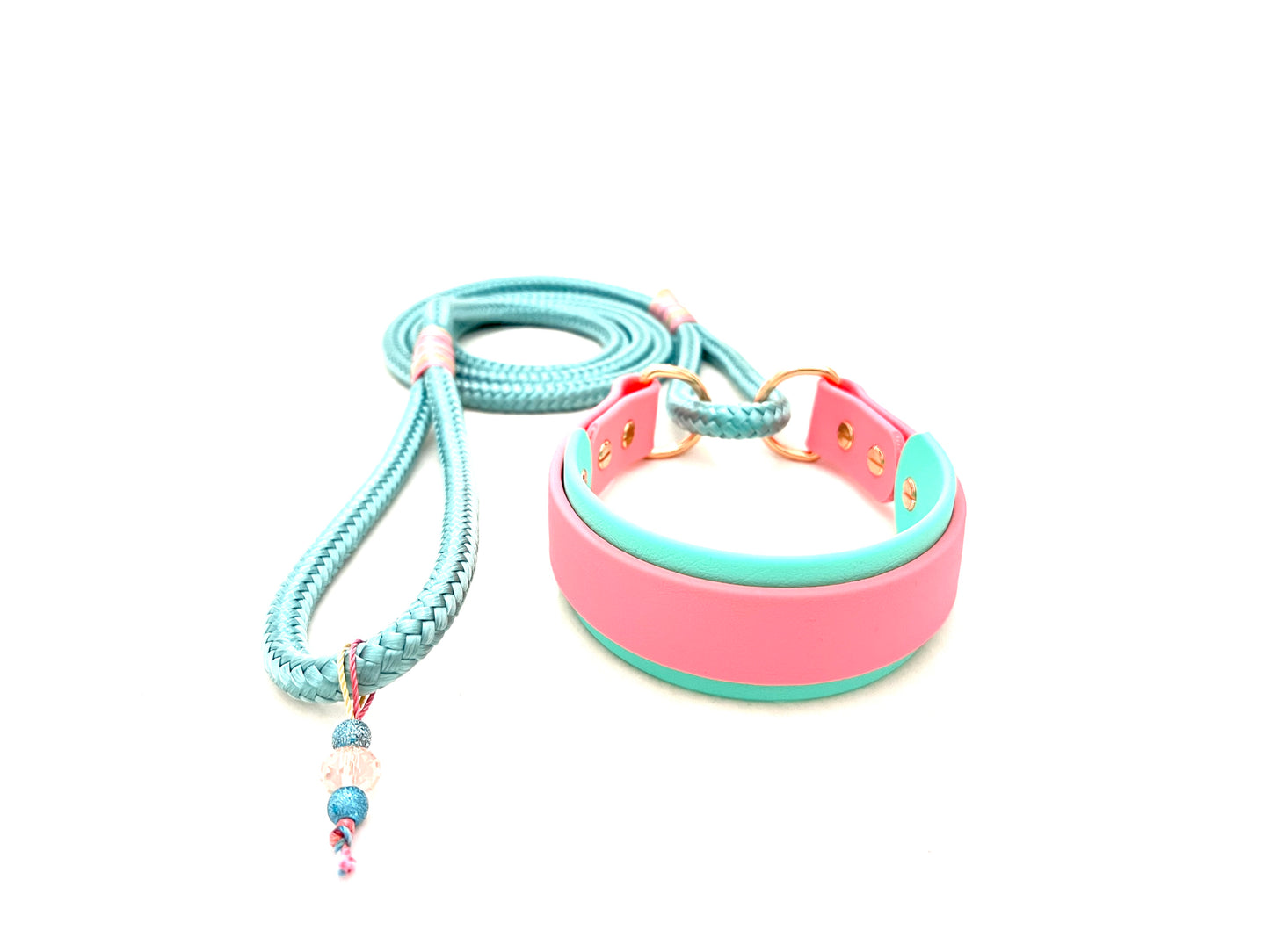 Biothane-Rope Martingale Leash