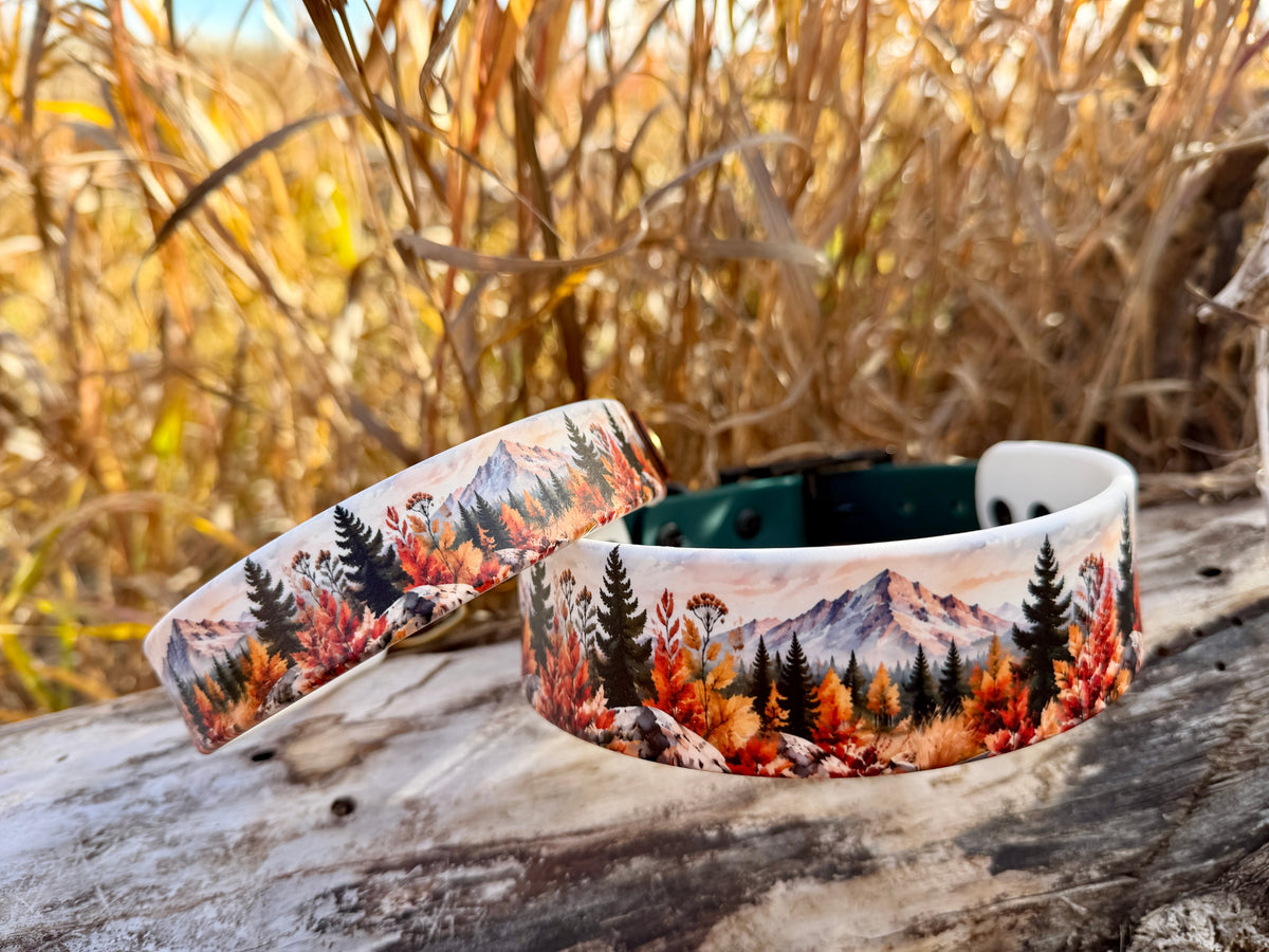 Fall Mountains