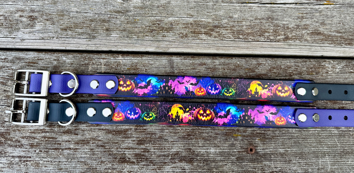 Halloween Collars