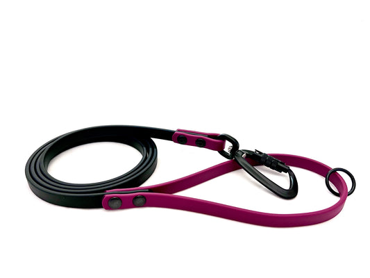 Dual Colour Leash