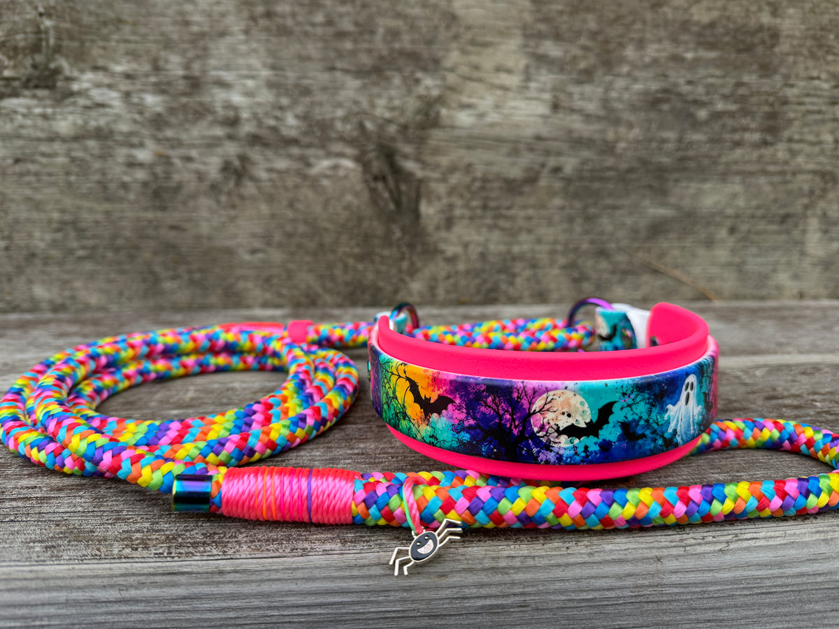 Halloween Martingale Leashes