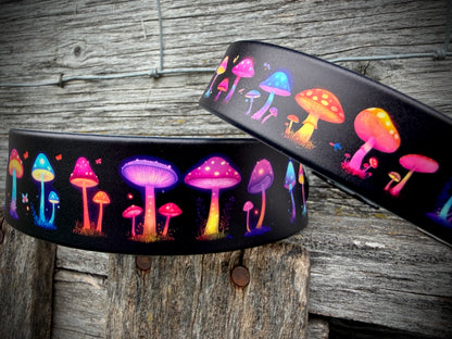 Midnight Mushrooms