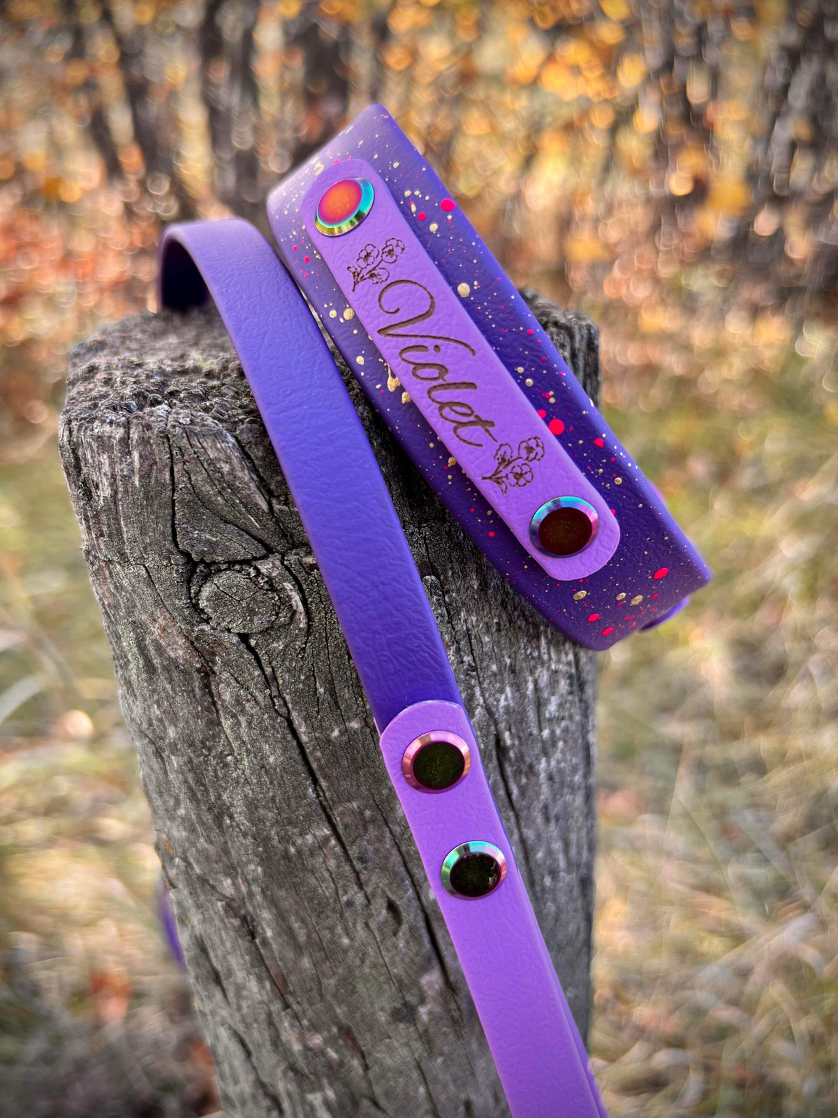 Engraved Biothane Name Tag