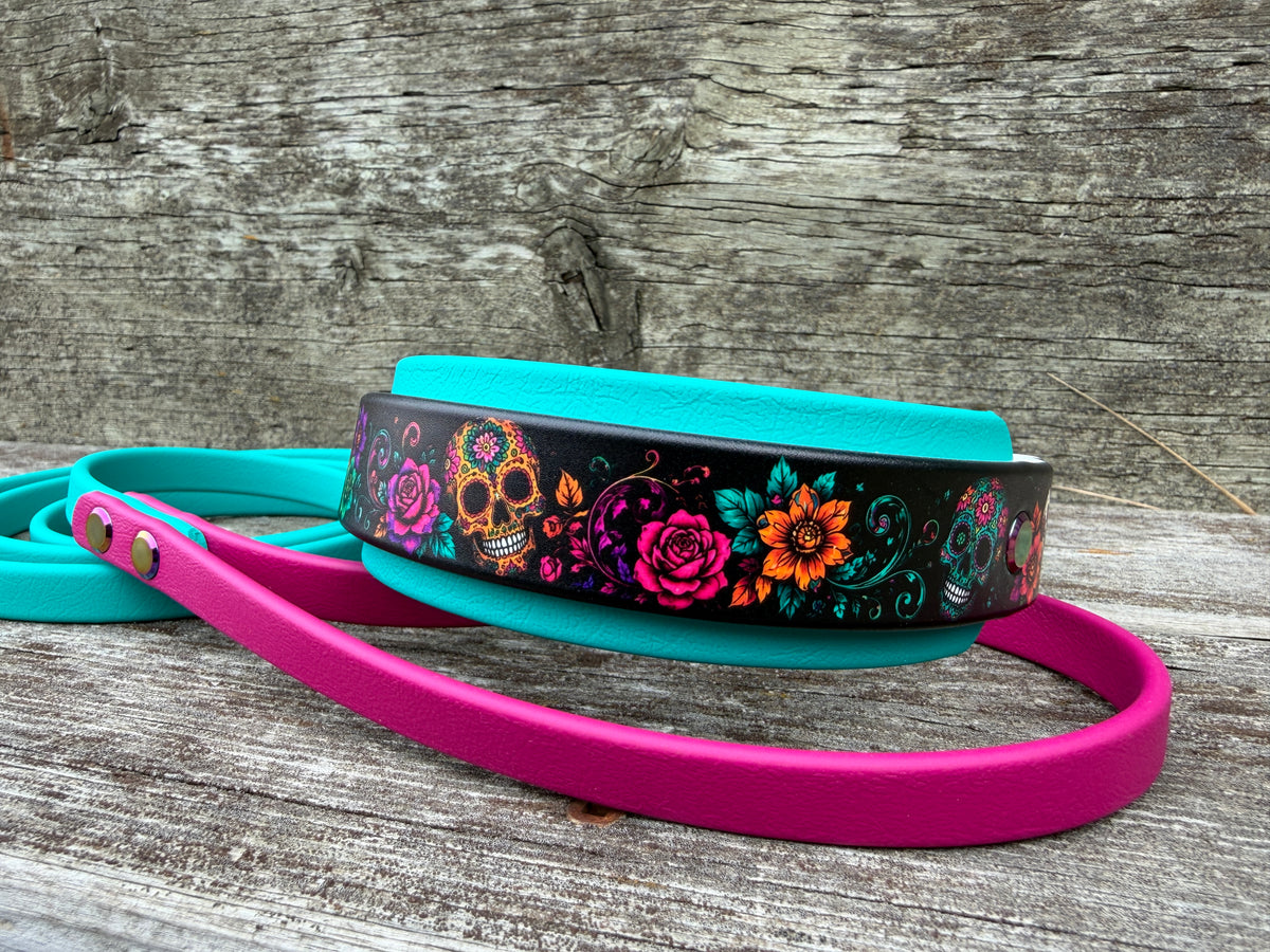 Halloween Martingale Leashes