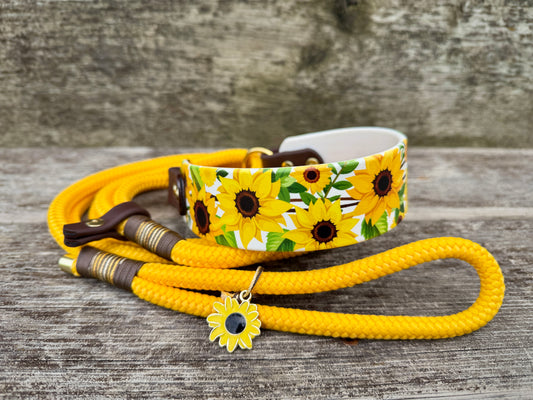 Sunflower Martingale Leash 1.5"