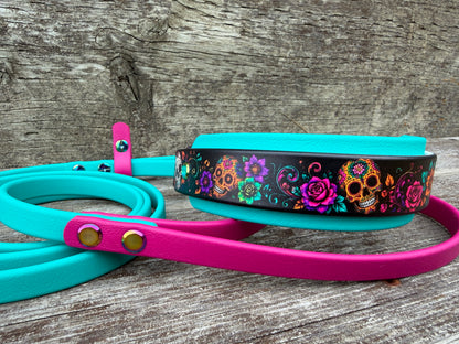 Halloween Martingale Leashes