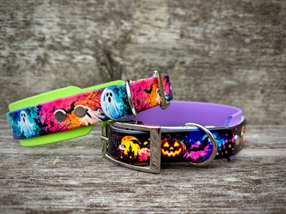 Halloween Collars