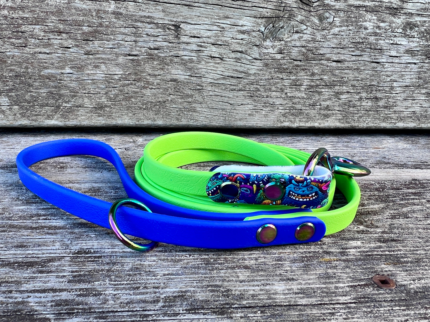 Biothane Leashes 6ft