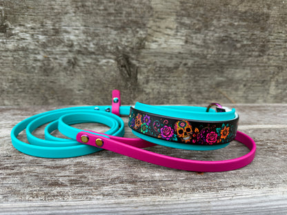Halloween Martingale Leashes