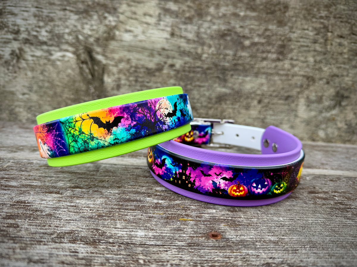 Halloween Collars