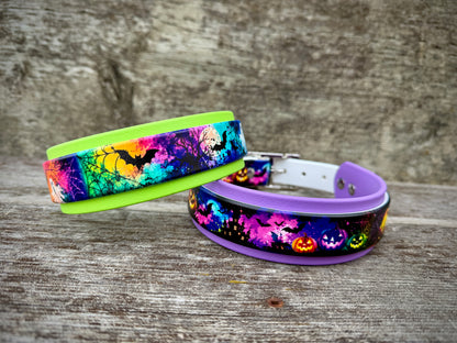 Halloween Collars