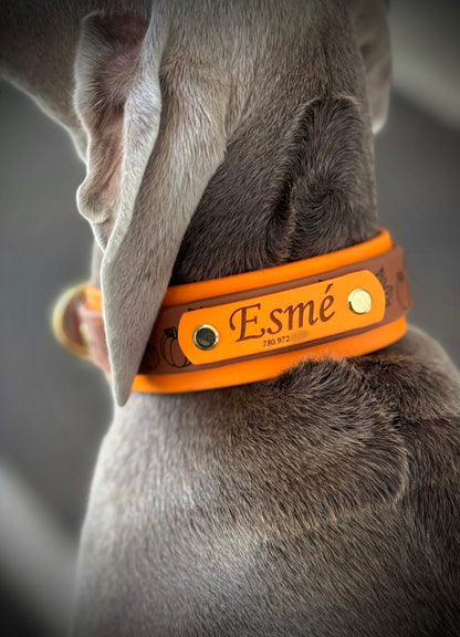 Engraved Biothane Name Tag