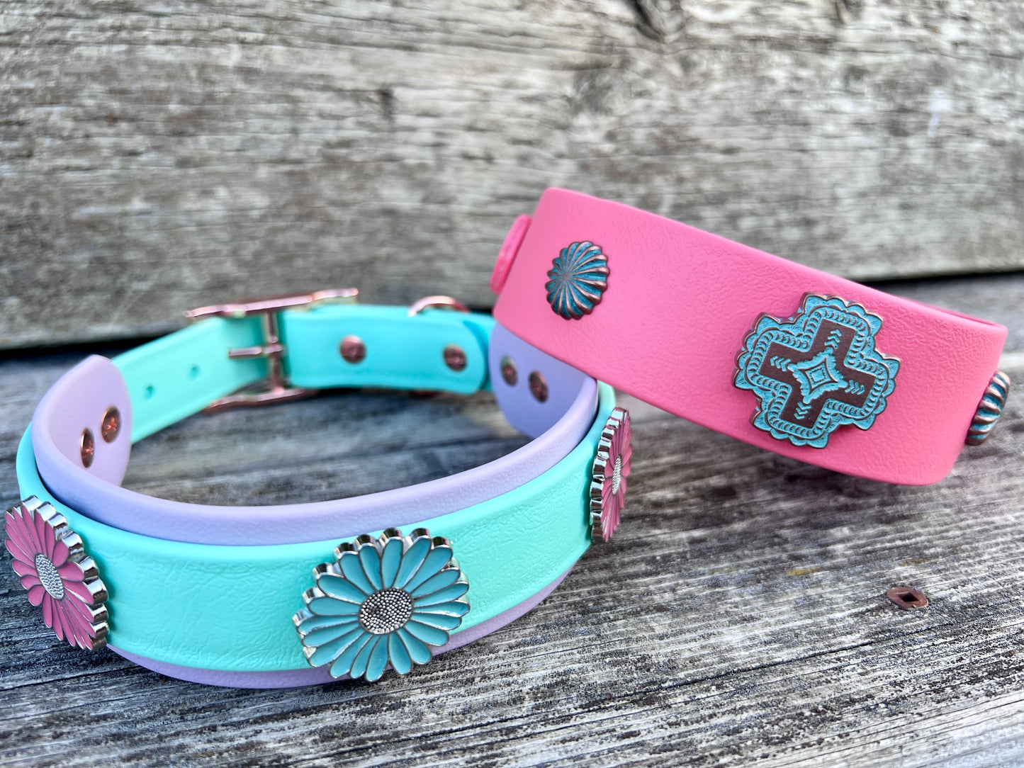 Concho Collar