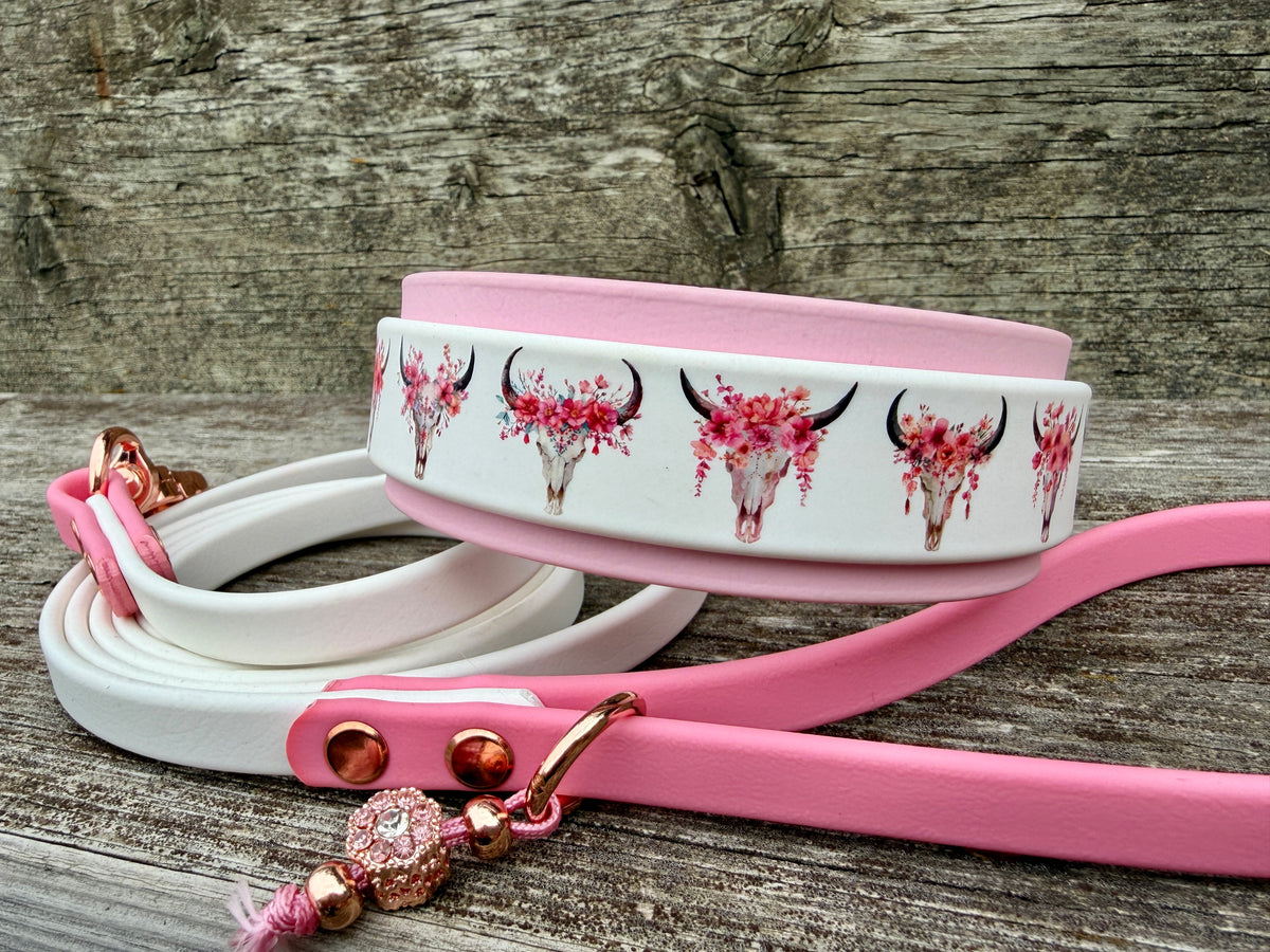 Collar Leash Set "Western Dream"