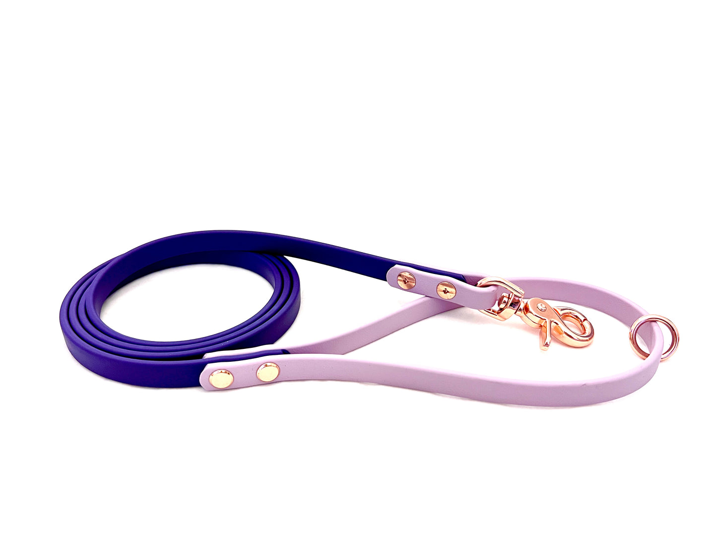 Dual Colour Leash