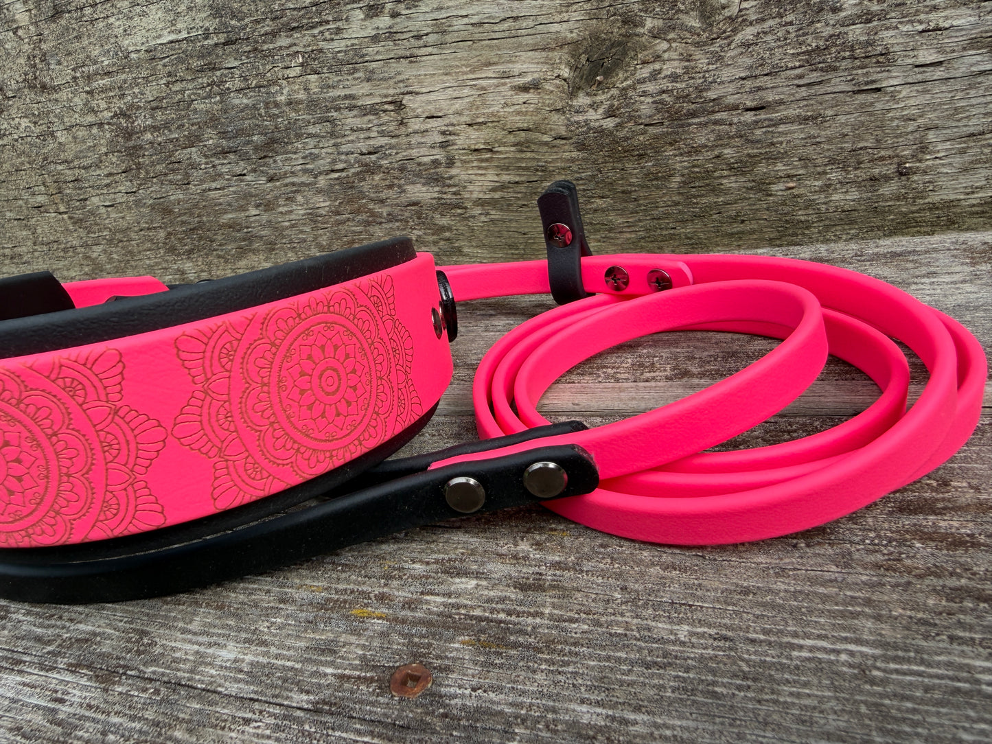 Mandala Martingale Leash 2"