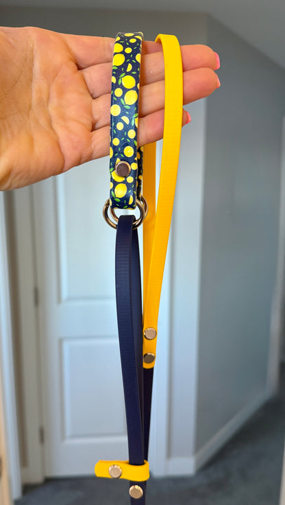 Mini Martingale Leashes