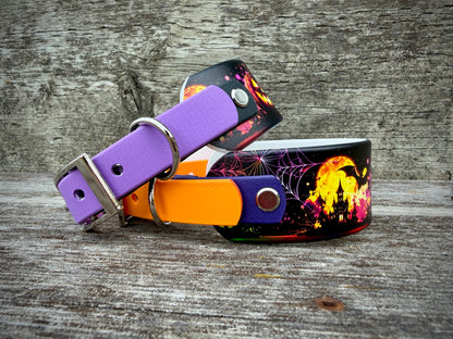 Halloween Collars