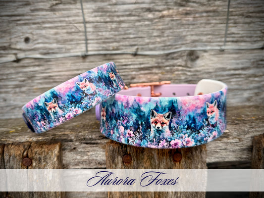 Aurora Foxes