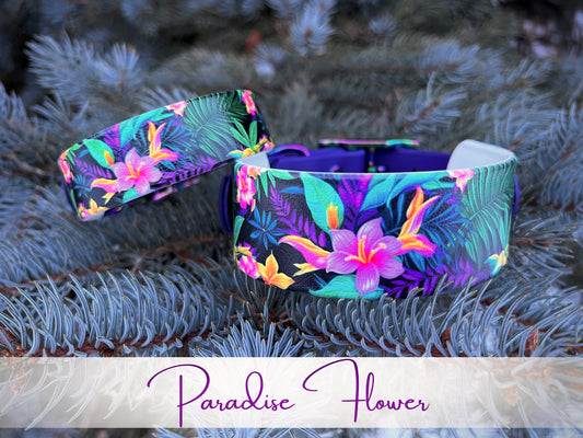 "Paradise Flower"