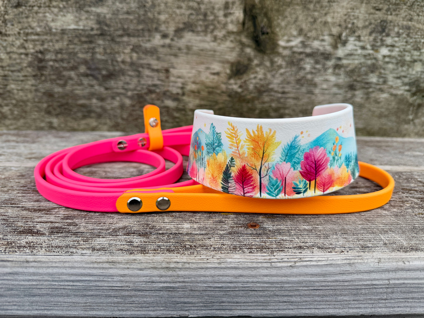 Pastel Mountains Martingale Leash 2"