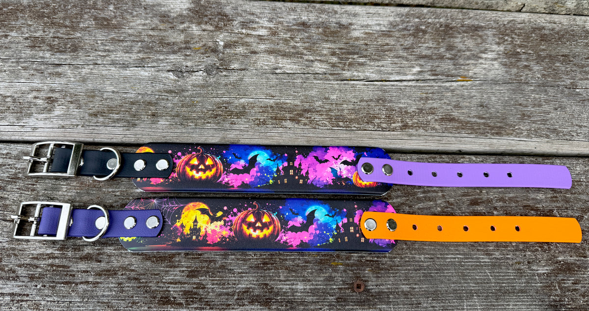 Halloween Collars