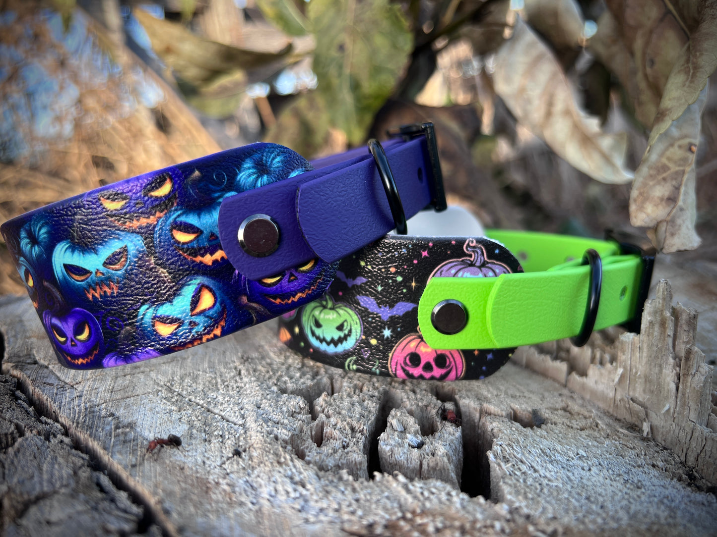 🎃Halloween Collars/Leashes🎃