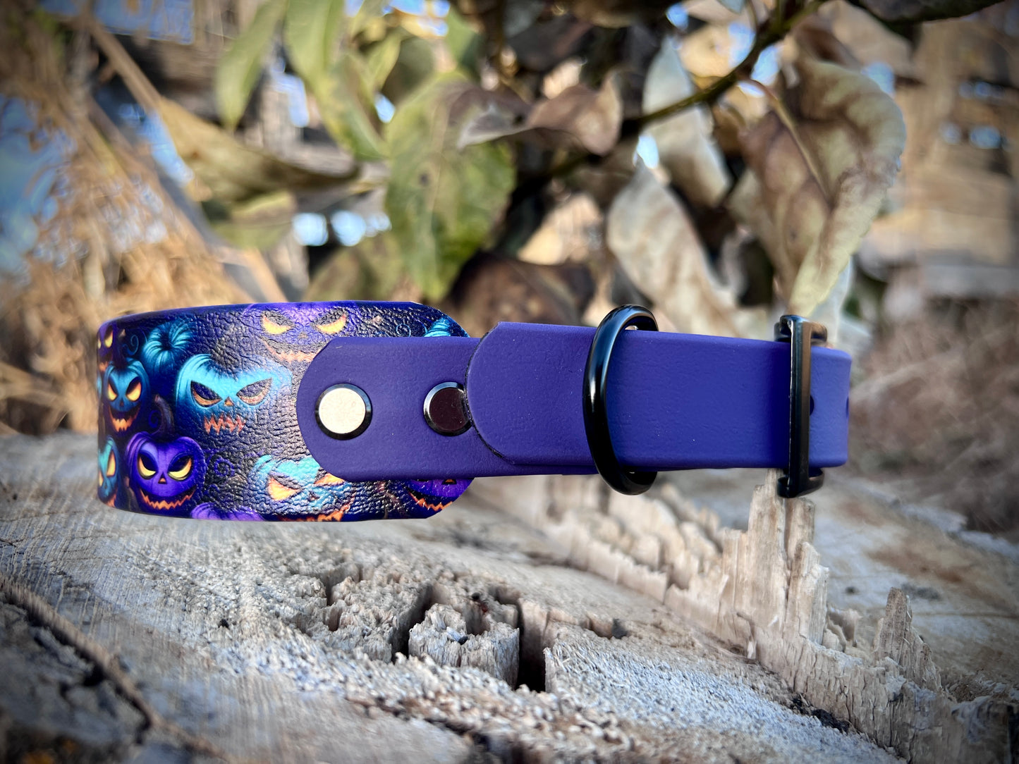 🎃Halloween Collars/Leashes🎃