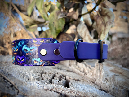 🎃Halloween Collars/Leashes🎃
