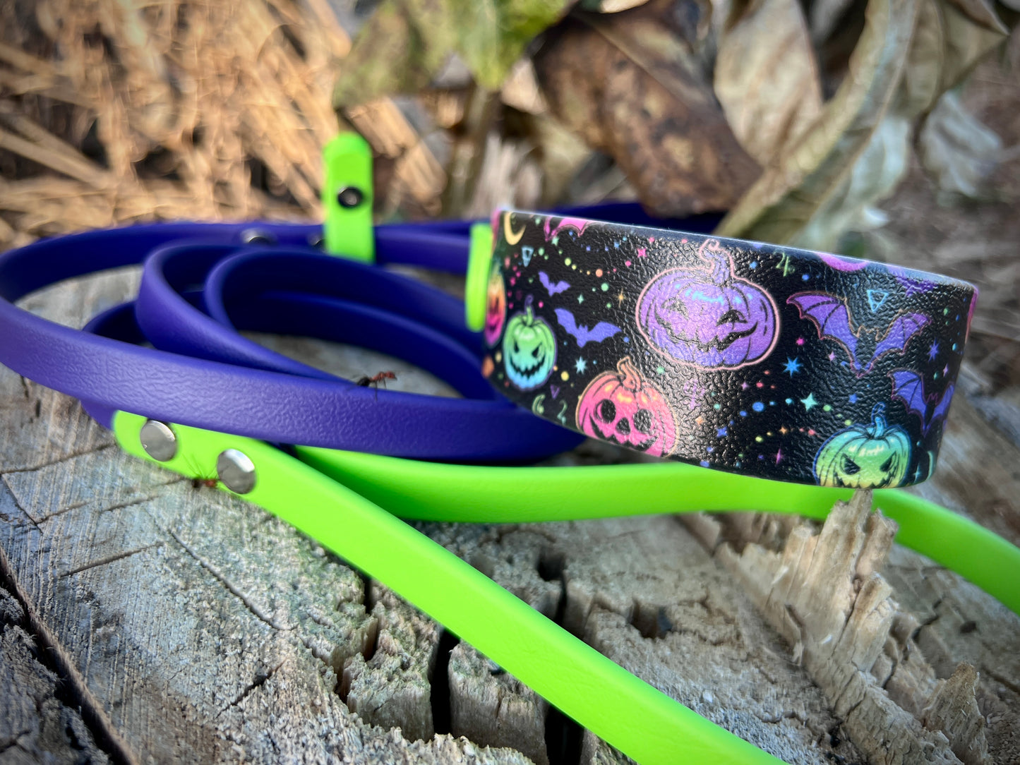 🎃Halloween Collars/Leashes🎃