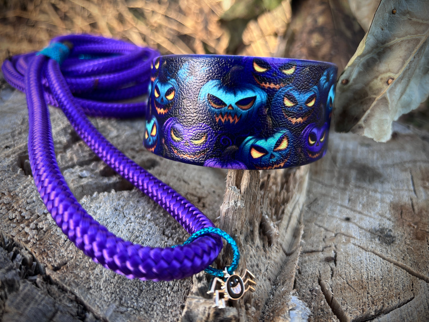 🎃Halloween Collars/Leashes🎃