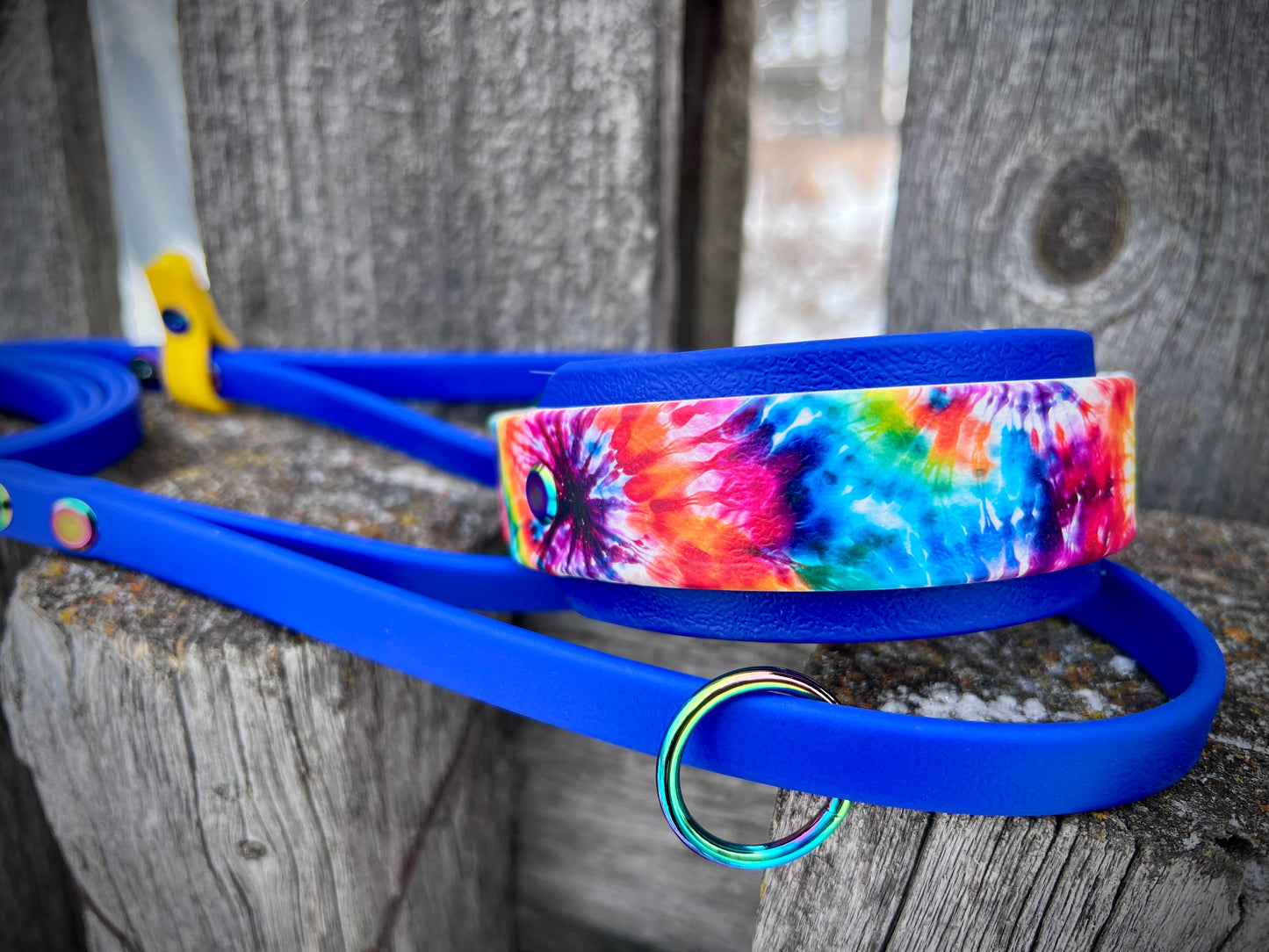 French Martingale "Tie Dye"