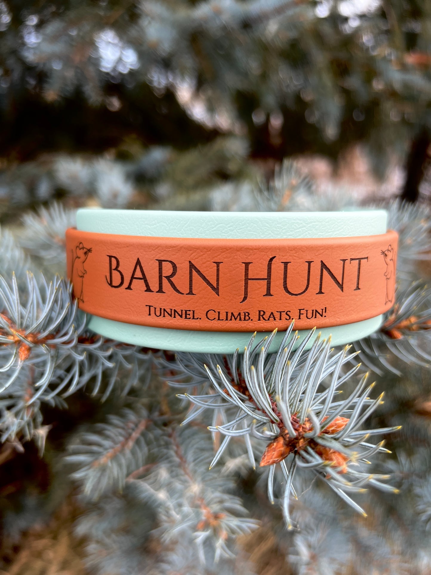 Double Layer Collar "Barn Hunt"