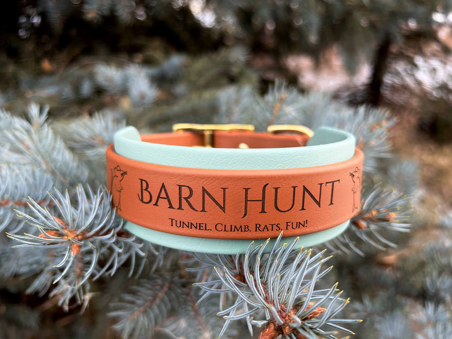 Double Layer Collar "Barn Hunt"