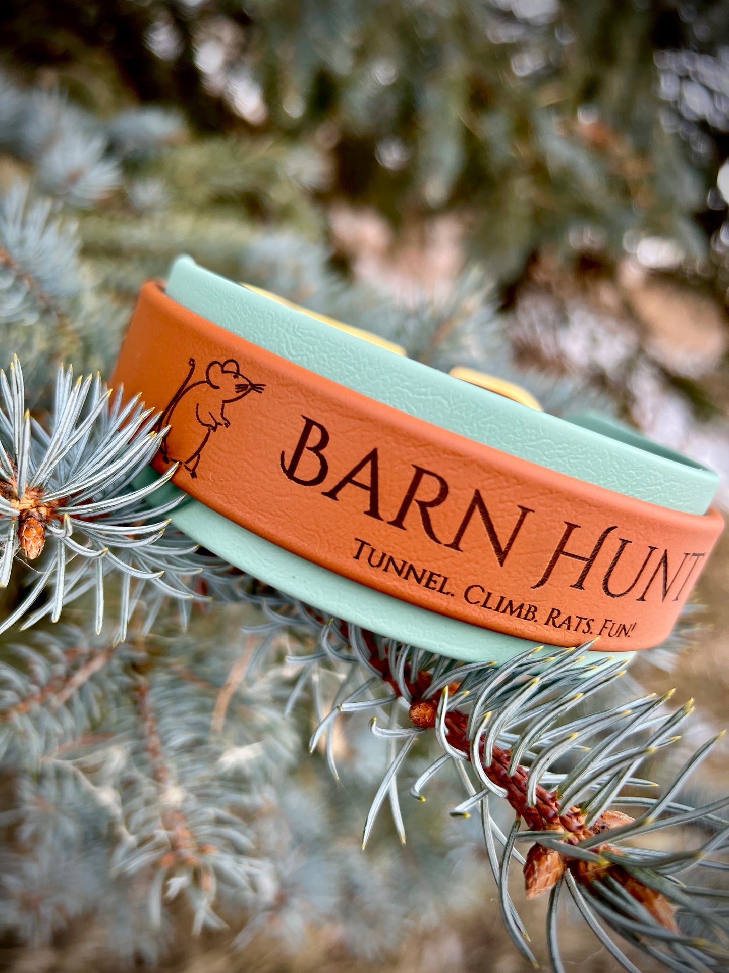Double Layer Collar "Barn Hunt"