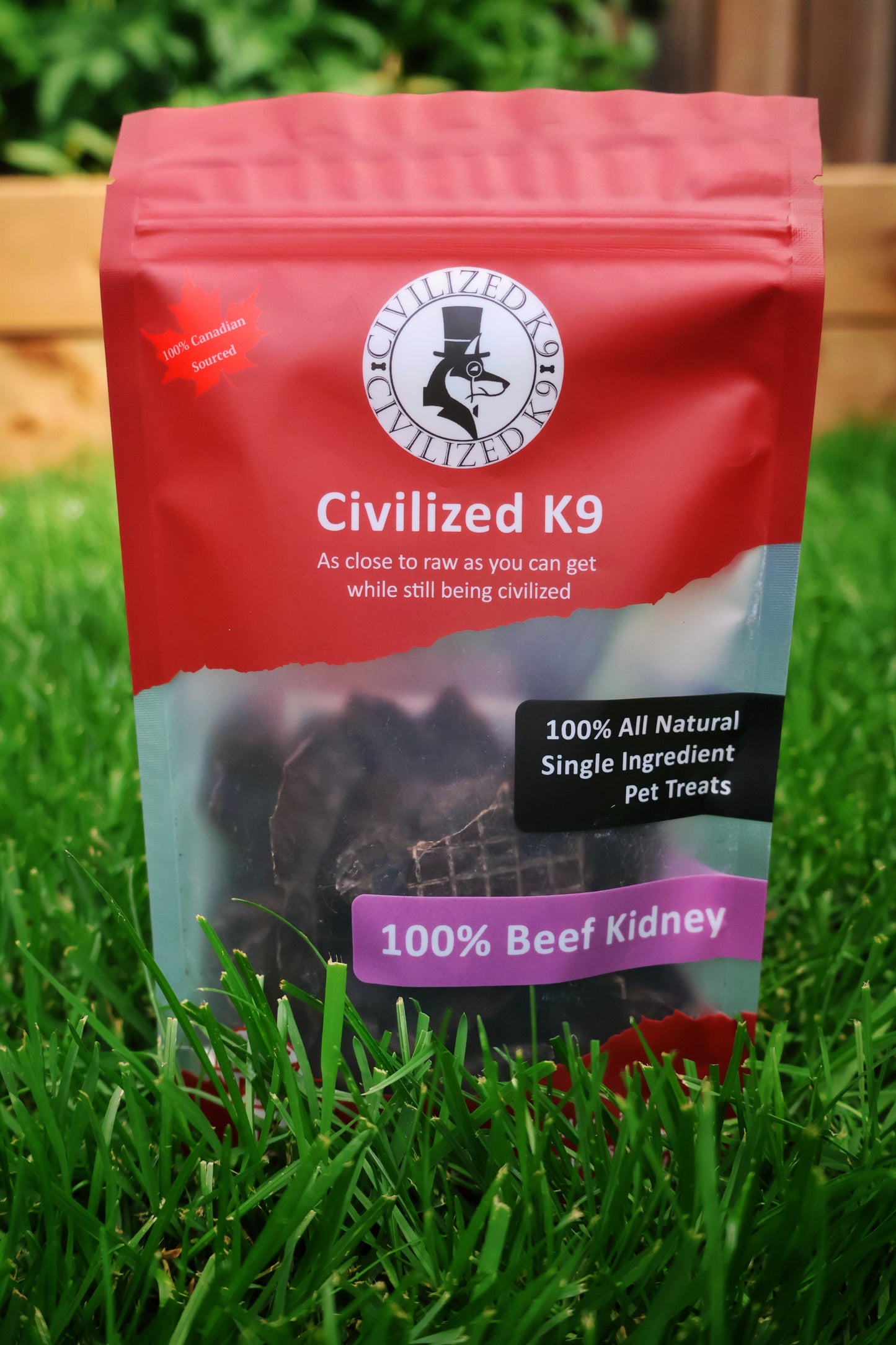 Beef Kidney