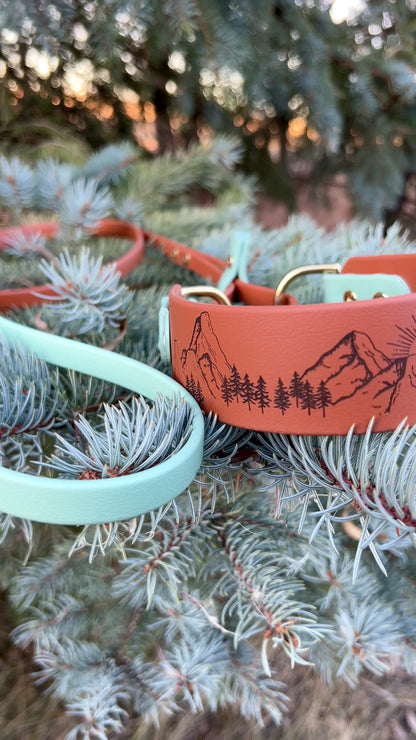 French Martingale Leash 1.5" "Mountainscape"