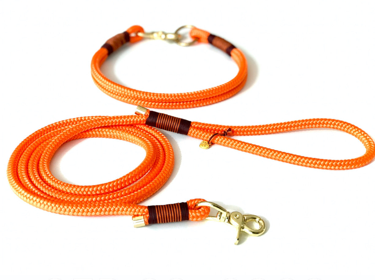 Rope Leash 6ft