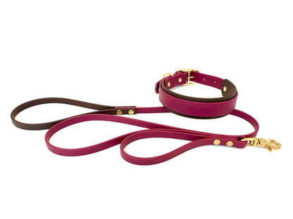 Double Layer Collar